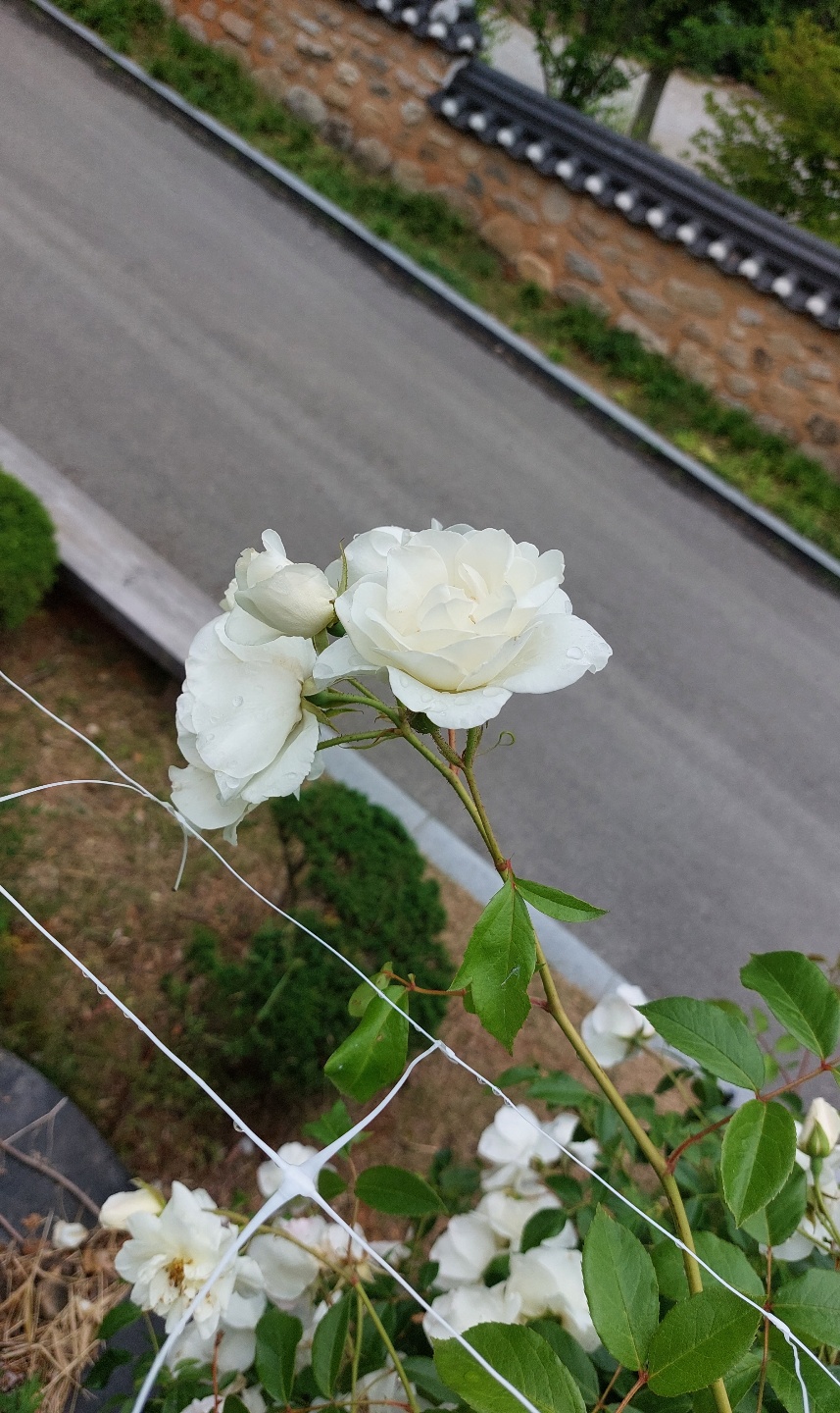 KakaoTalk_20220711_131233853.jpg