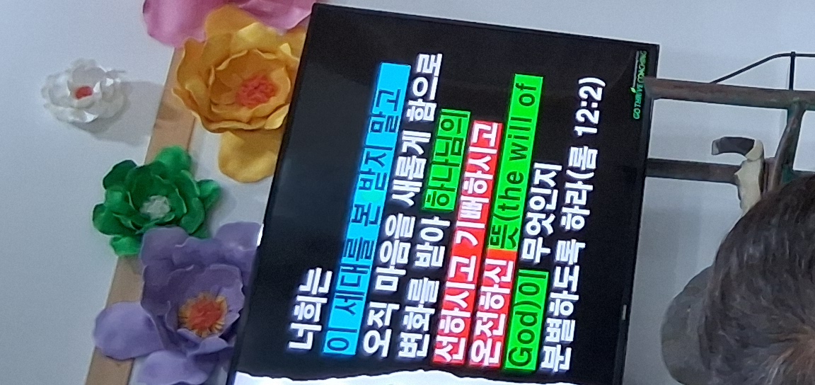 KakaoTalk_20260722_025341895_01.jpg